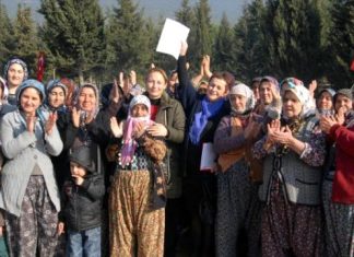 Patriarchal labor exploitation in agriculture and its implications for feminist politics