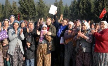 Patriarchal labor exploitation in agriculture and its implications for feminist politics