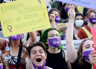 A Feminist Political Economy of Domestic Murders of Women and Girls in Turkey