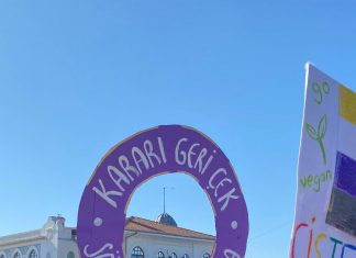 The Istanbul Convention Is Ours, We Are Not Giving It Up!