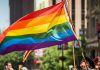 Pink Life LGBTI+ Solidarity Association: “The decision to withdraw from the Istanbul Convention is the declaration of what is obvious.”
