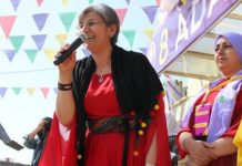 We, the women, will abide by the motto: “if not pushed, no dictator will fall” / Interview with Leyla Güven